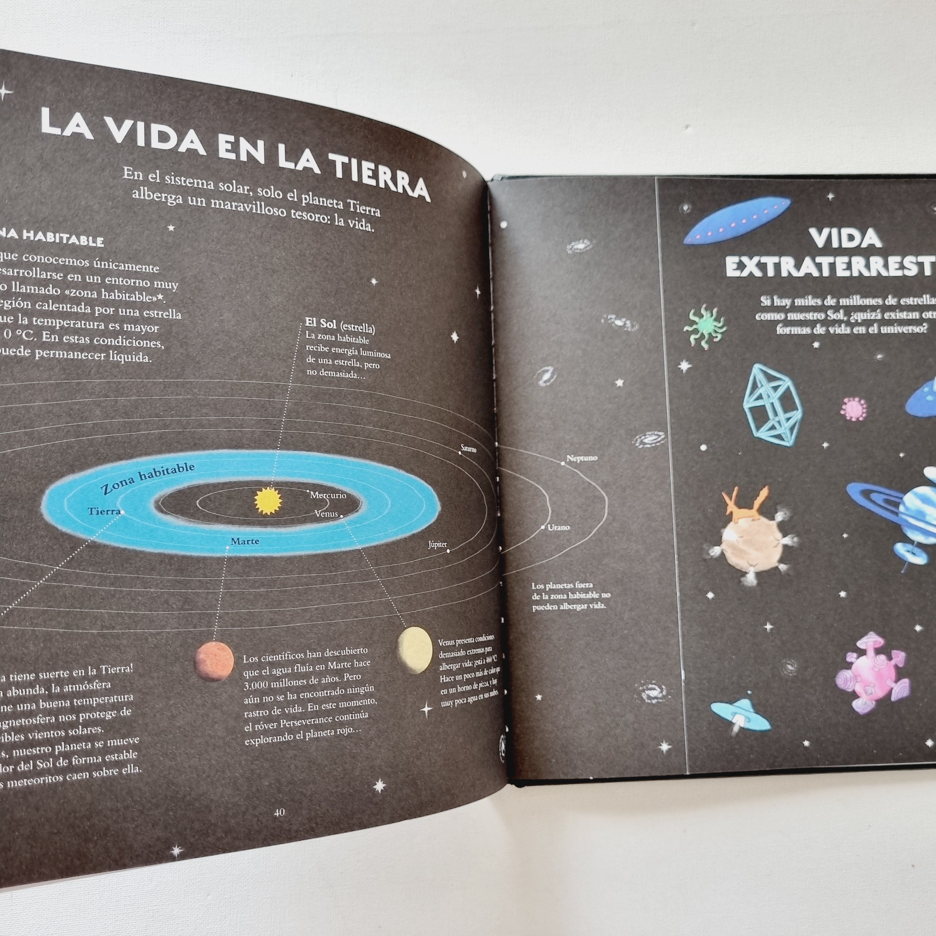 Vida Vida